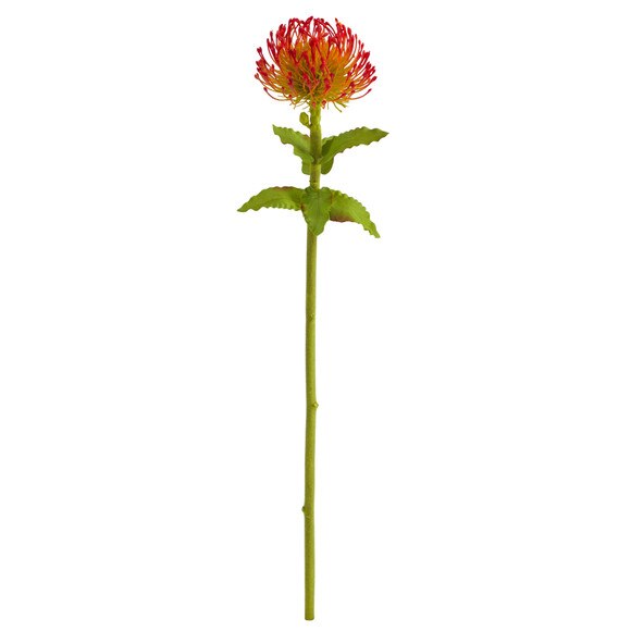 24 Pincushion Flower - SKU #2360 - 5